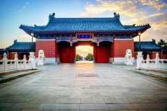 大學(xué)與職業(yè)技術(shù)學(xué)校之爭(zhēng), 如何診斷網(wǎng)